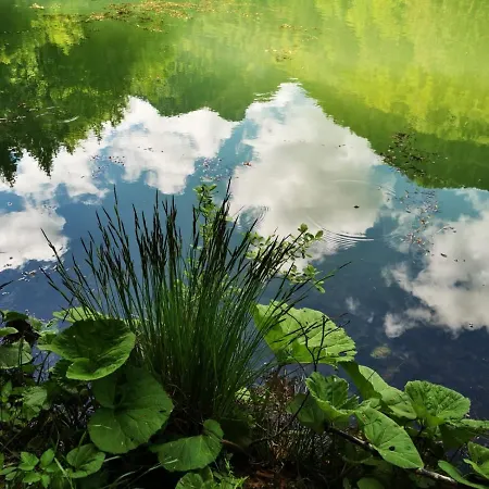 Geigelsteinblick * シュレヒング