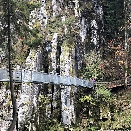 Geigelsteinblick シュレヒング