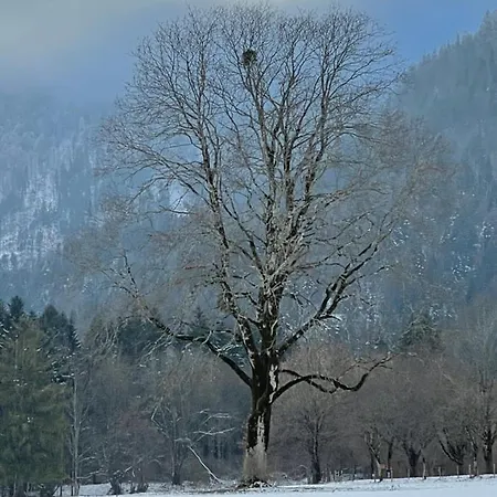 アパート Geigelsteinblick シュレヒング